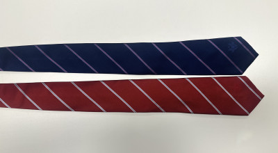 Regimental silk tie