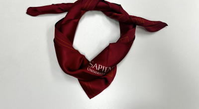 Foulard Sapienza in Seta